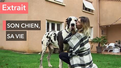 sexe chien et femme|Zoophile, VO on Vimeo.